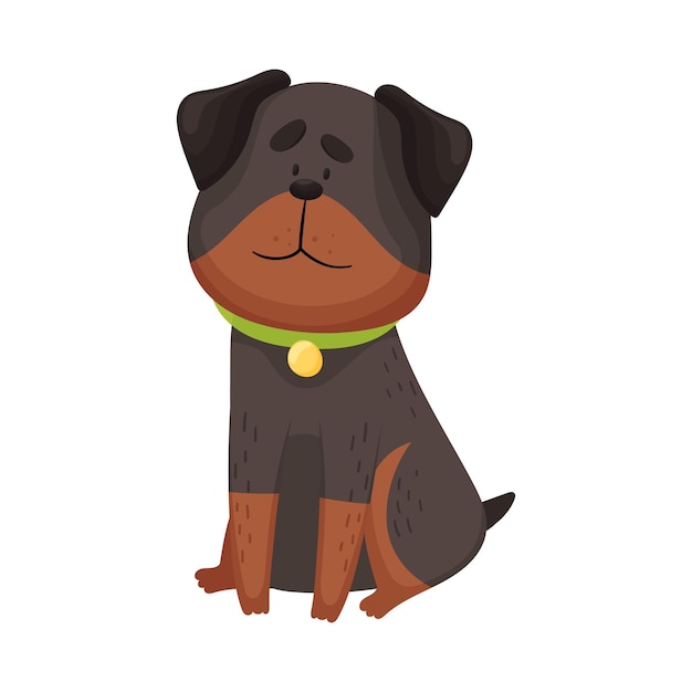 Vector cartoon black with a brown rottweiler with a green collar sits vector illustration on a white background