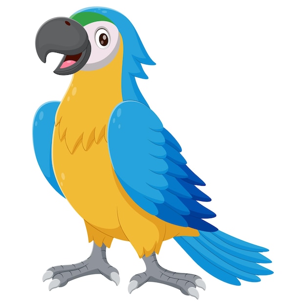 Cartoon blue macaw Vector illustration