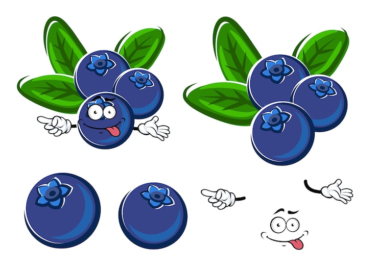 Vector 葉を持つブルーベリー果実の漫画のキャラクター