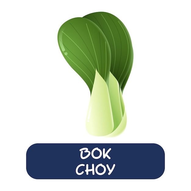 Cartoon bok choy vegetables vector isolated on white background