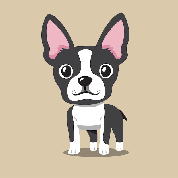 Cartoon boston terrier dog