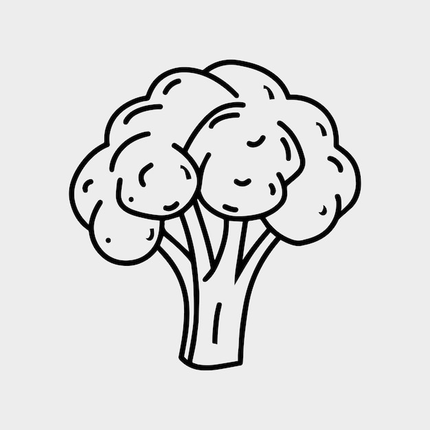 Cartoon Broccoli Zwarte Lijn Witte Achtergrond Voorraad Vector Kinderen Kleurplaat Hand Tekenen Broccoli