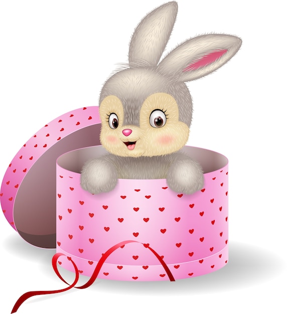 Cartoon bunny in a gift box