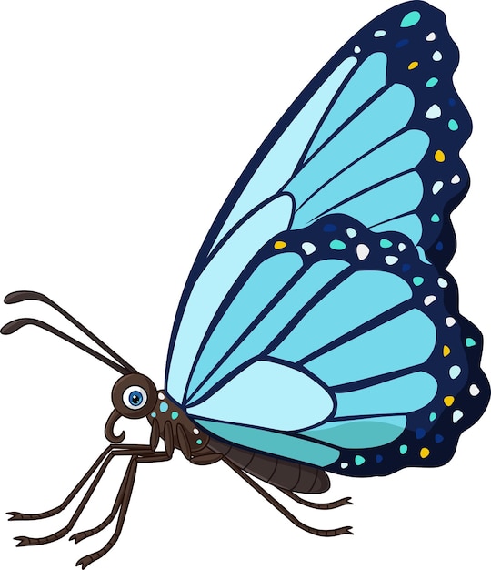 Cartoon butterfly on white background