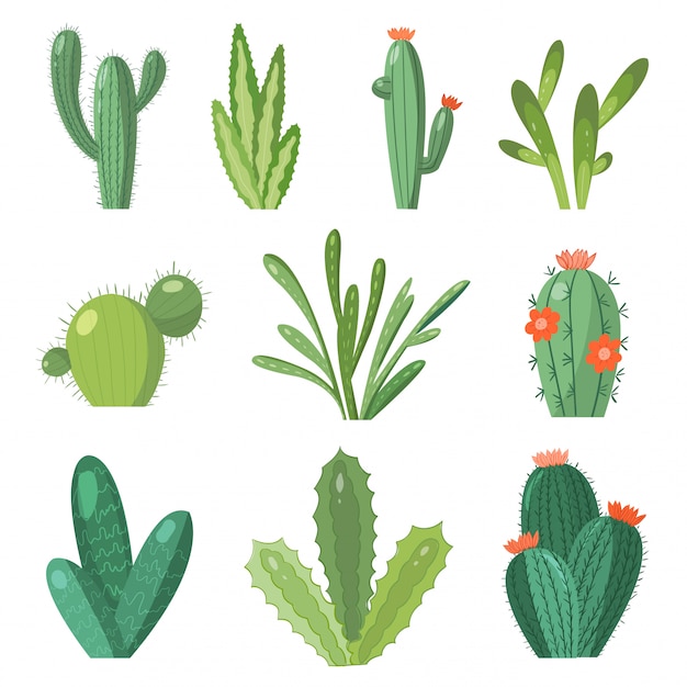 Cartoon cactus set. heldere cactussen en aloë instellen. Gekleurde, heldere cactussenbloemen die op wit worden geïsoleerd