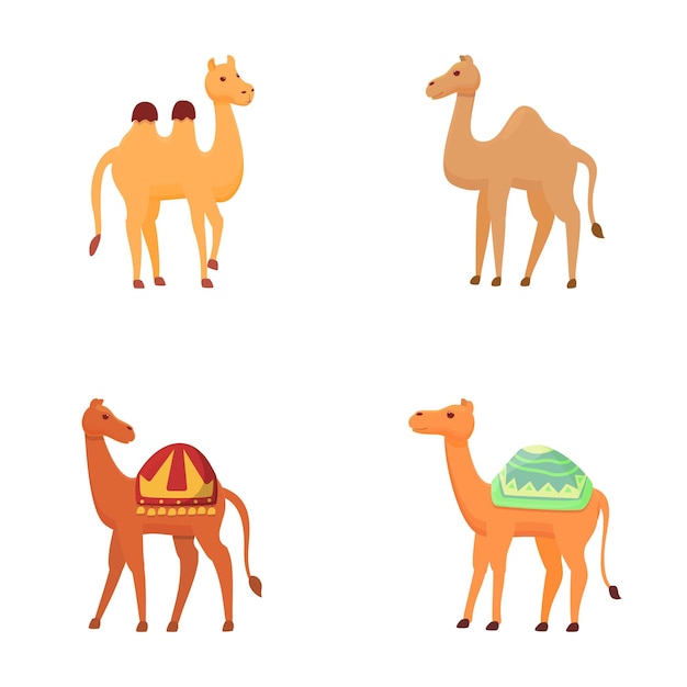 Vector cartoon camel icons set cartoon vector different type of camel with saddlery