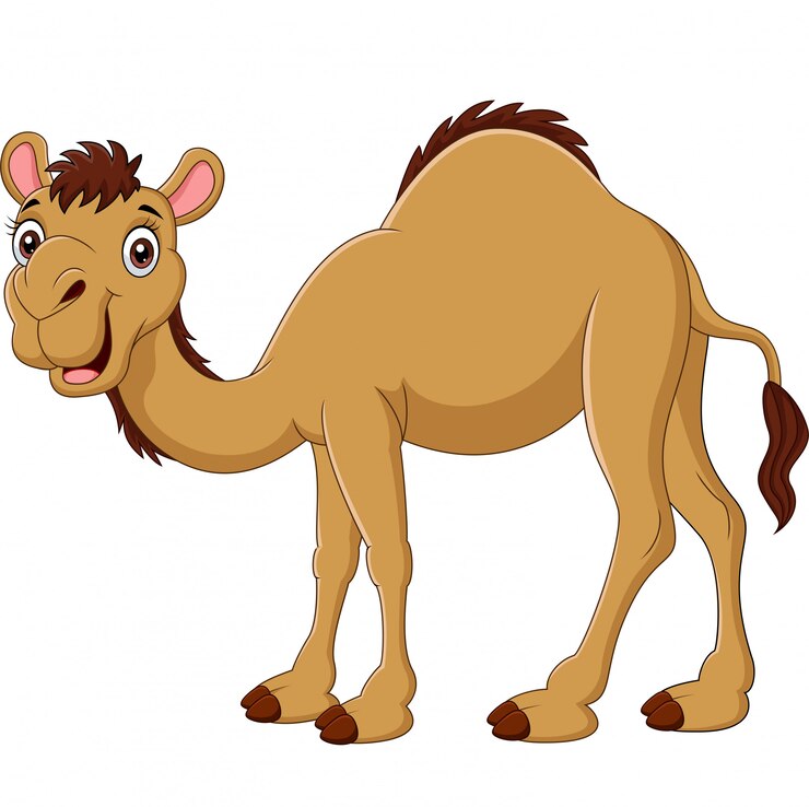 Vector cartoon camel isolated on white