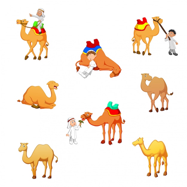 Vector cartoon camel vector illustration