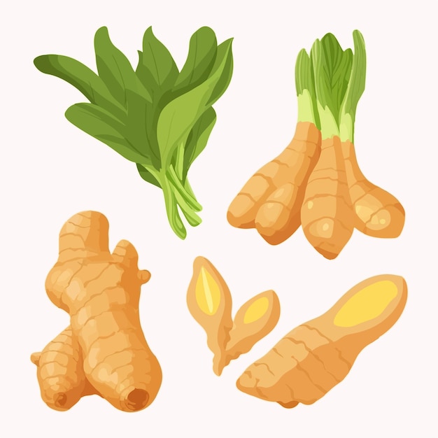 Vector a cartoon of carrots and other vegetables