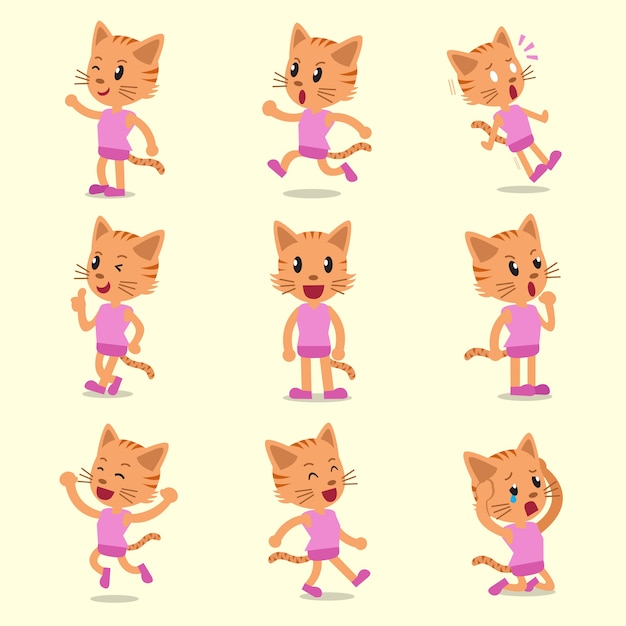 Cartoon cat character poses on yellow background