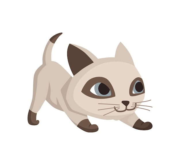 Vector cartoon cat character siamese colorpoint pet adorable domestic cat playing funny happy and playful animal cute two color kitten