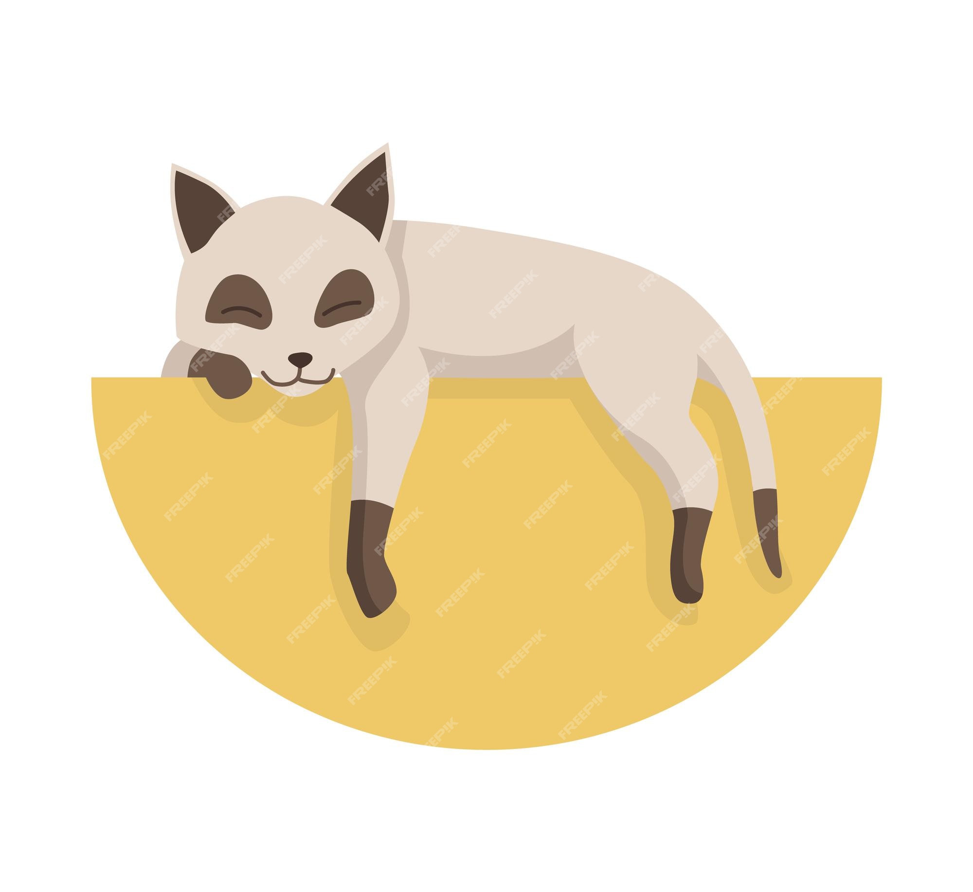 Premium Vector | Cartoon cat character. siamese colorpoint pet. adorable domestic cat sleeping. funny happy and playful animal. cute two color kitten. Premium Vector | Cartoon cat character. siamese colorpoint pet. adorable domestic cat sleeping. funny happy and playful animal. cute two color kitten.