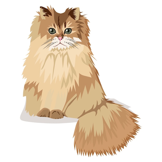 Vector cartoon cat white background vector