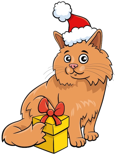 Vector cartoon cat with present on christmas time