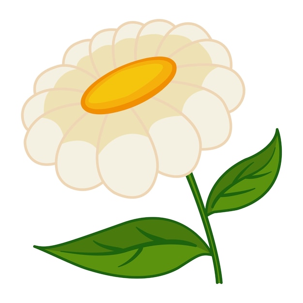 Vector cartoon chamomile