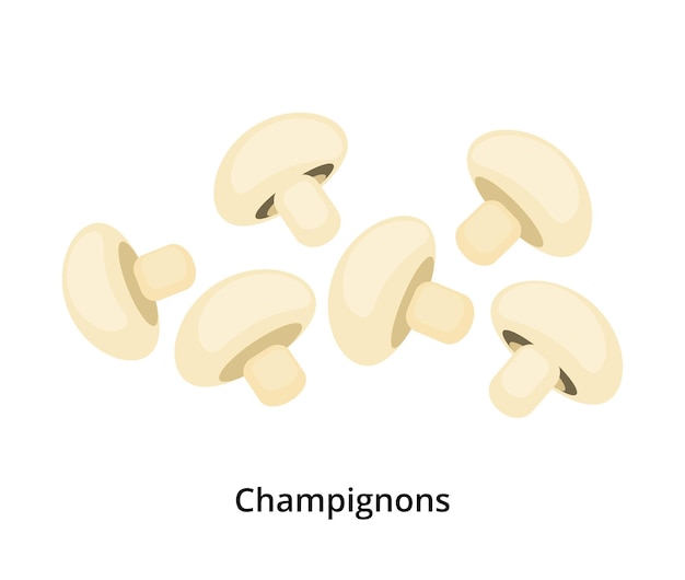 Cartoon champignons