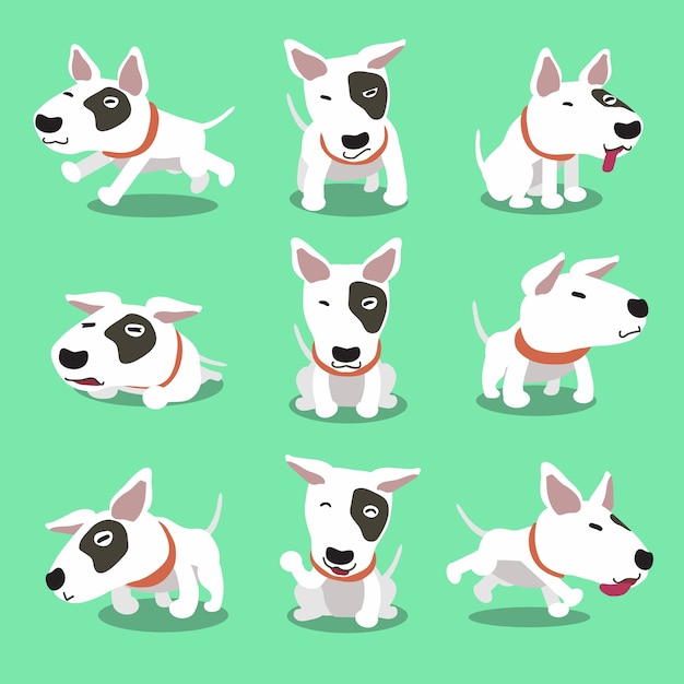 Cartoon character bull terrier dog poses