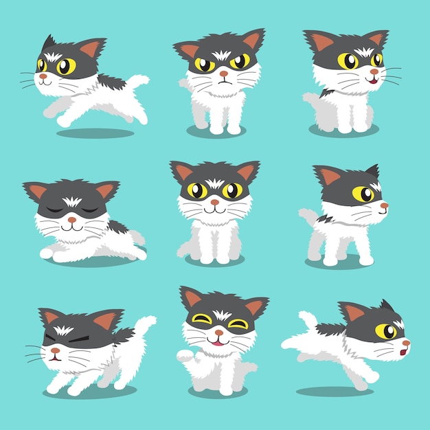 Vector cartoon character cat pose