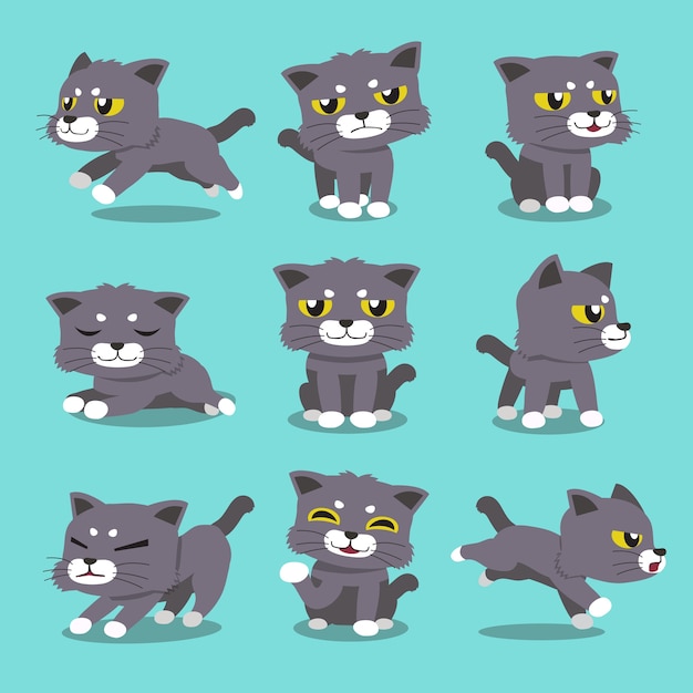 cartoon character cat poses set