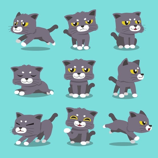 Set di pose di gatto personaggio dei cartoni animati