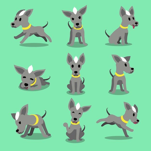 Vector cartoon character hairless dog poses