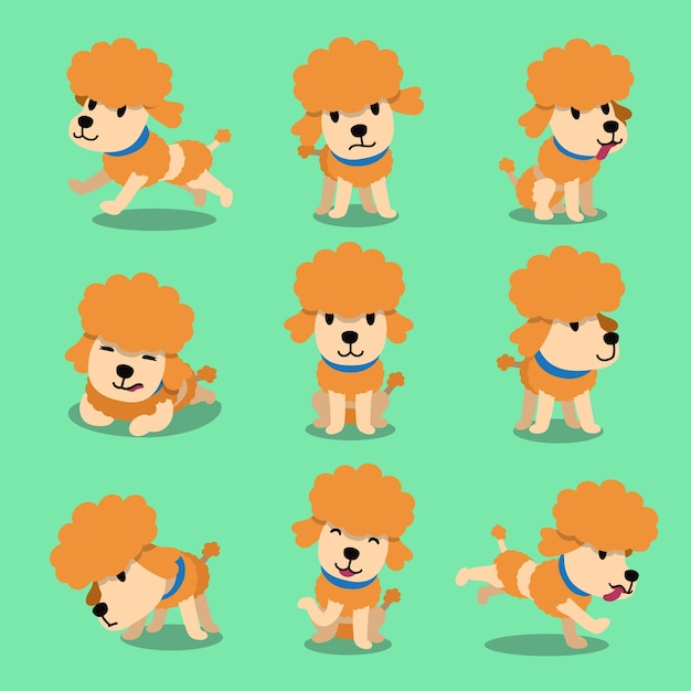 Cartoon character poodle dog poses