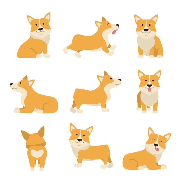 Cartoon Characters Welsh Corgi Set Domestic Pets Concept Element Flat Design Style Vector illustration