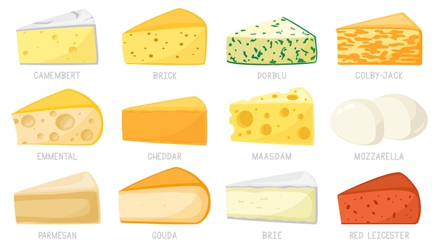 Cartoon cheese types isolated on white