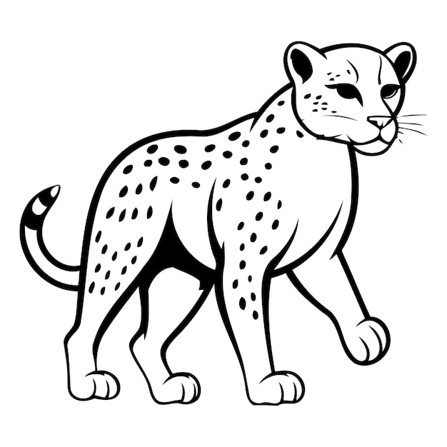 Vettore cheetah cartone animato su sfondo bianco illustrazione vettoriale di cheetah