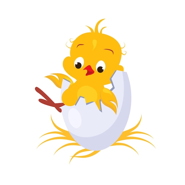 Cartoon Chicken in an Egg. Vector Illustration