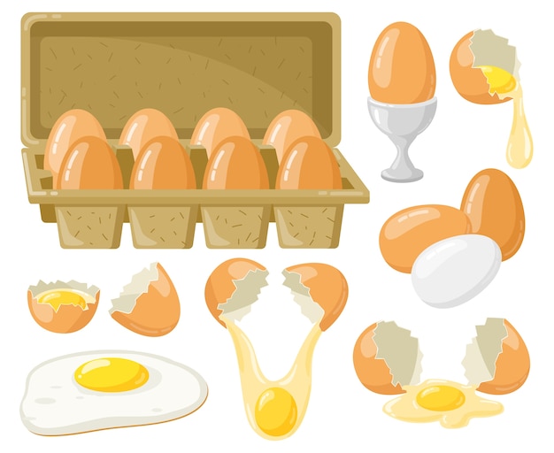 Vector cartoon chicken eggs illustration