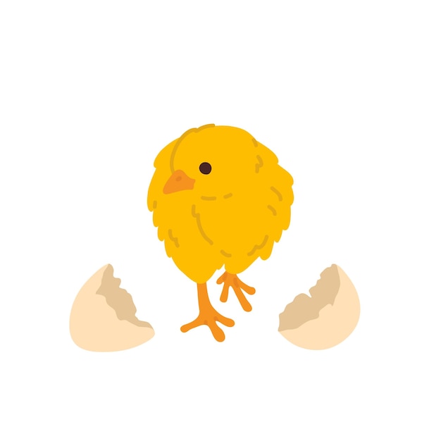 Vector a cartoon chicken is walking in front of a white background with egg shell