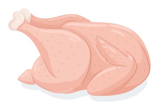 Cartoon chicken meat Raw chicken with legs and wings meat stuffed chicken ready to cook flat vector illustrations on white background