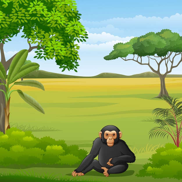 Cartoon chimpansee in de savanne