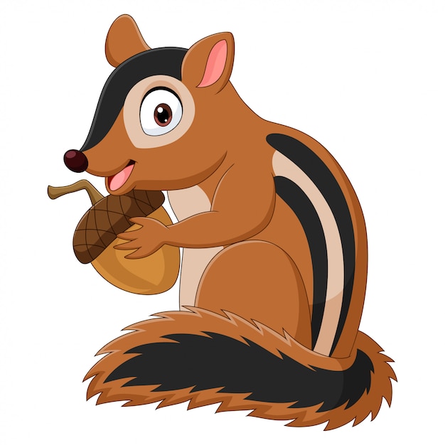 Vector cartoon chipmunk holding an acorn