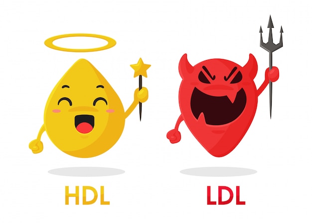 Cartoon cholesterol, HDL and LDL components are good fats and bad fats from food.