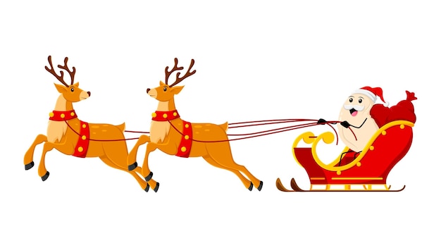 Vector cartoon christmas cashew riding a reindeer sleigh