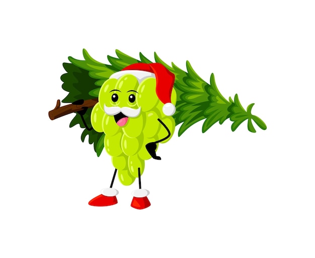 Cartoon Christmas ripe raw grapes berry or fruit character carries a holiday tree. Isolated vector cheerful Santa Claus grape personage spreading festive joy and adding a touch of seasonal charm