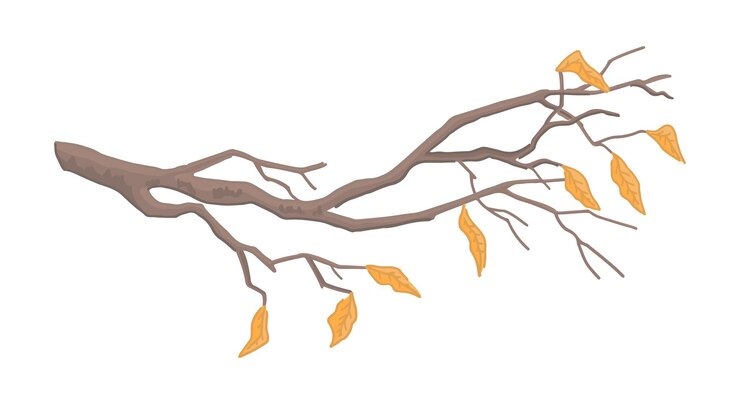Vector cartoon clipart of bare branch doodle of tree branch with fallen leaves contemporary vector illustration isolated on white background