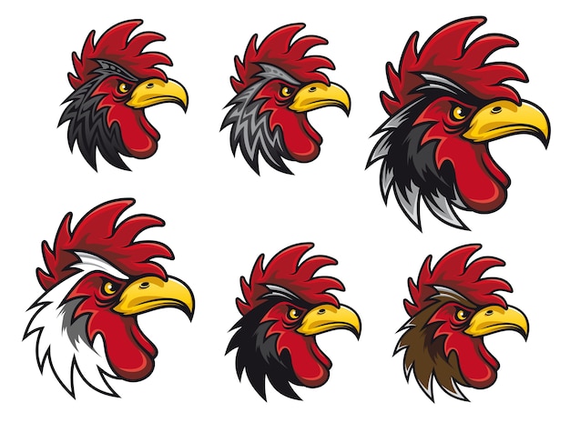 Cartoon cock heads set for mascot or another design