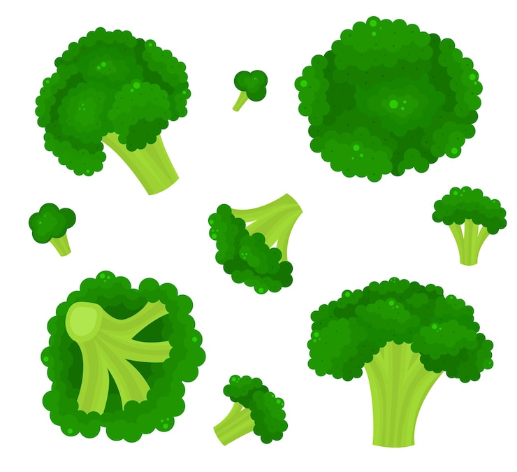 Vector cartoon color broccoli icon set vector