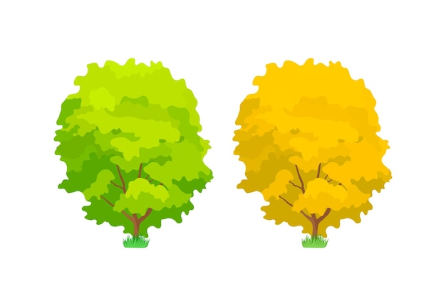 Cartoon colorful oak trees Cute woody plants green and yellow eco oak trees in summer and autumn seasons Ecology pure nature environmental garden forest landscape Vector illustration