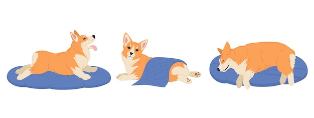 Cartoon corgi hond Leuke rustende en slapende corgi huisdier gelukkig binnenlandse stamboom puppy platte vector illustratie set
