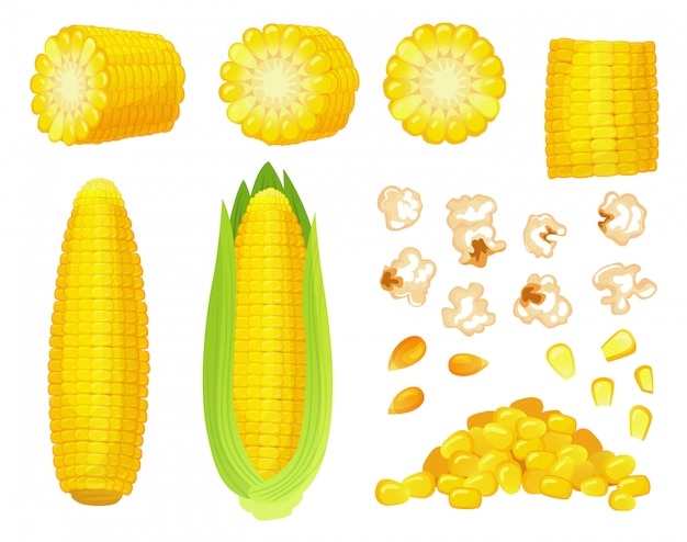 Мультфильм кукуруза. урожай золотой кукурузы, кукурузные зерна попкорна и сладкая кукуруза. початок кукурузы, набор вкусных овощей