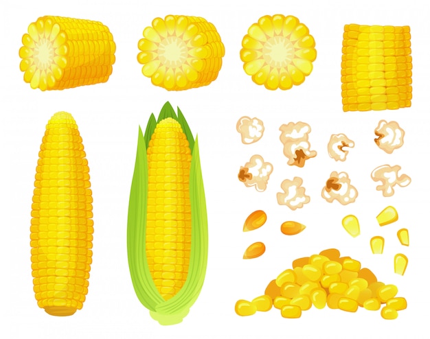 만화 옥수수. 황금 옥수수 수확, 팝콘 옥수수 곡물 및 달콤한 옥수수. 옥수수의 귀, 맛있는 야채 그림 세트