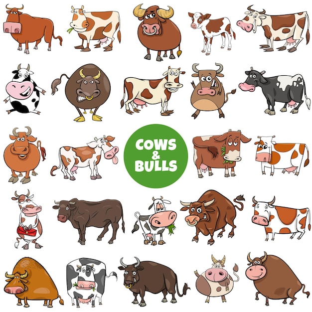 Cartoon cows and bulls farm animal characters big set