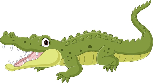 Vector cartoon crocodile isolated on white background