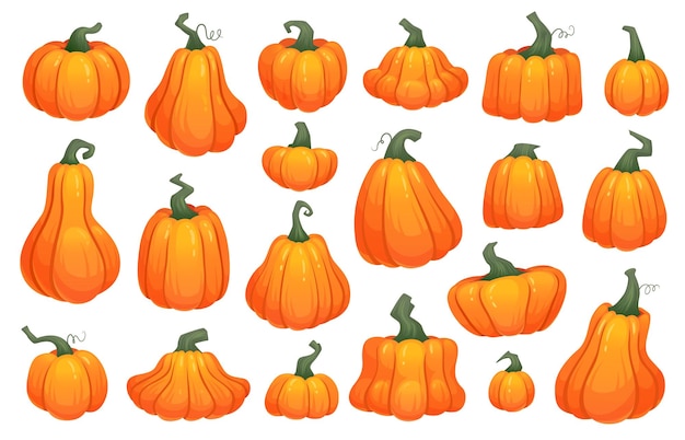 Cartoon crop squash Pumpkin gourd fresh organic vegetable orange autumn harvest simple fall pumpkins Thanksgiving or Halloween pictogram flat icon ingenious vector illustration