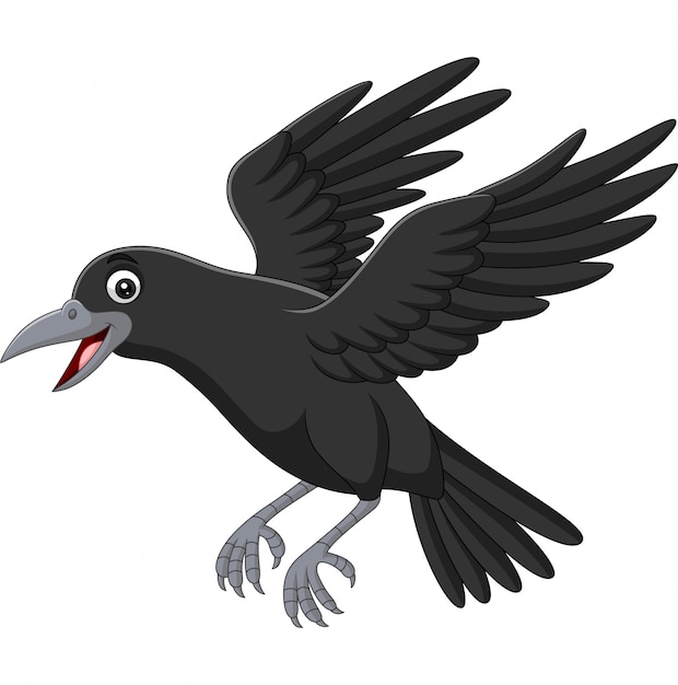Volo del corvo del fumetto isolato su bianco