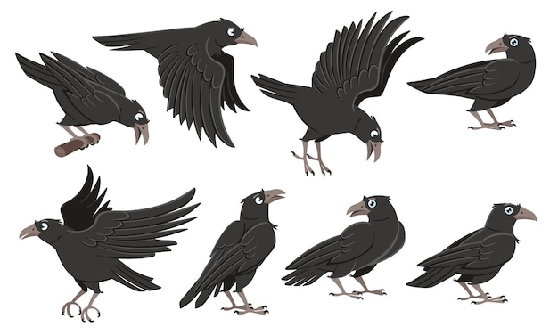 Vector cartoon crows wild black birds raven character in different poses and flying crow vector illustration set